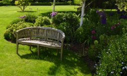 cropped-bench-and-lawn.jpg